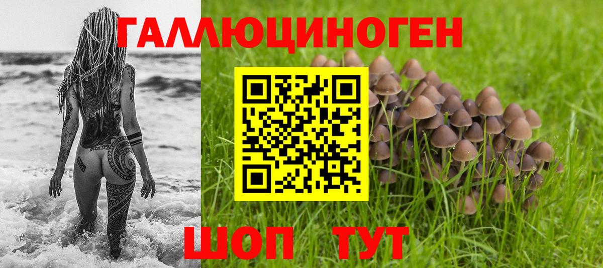 Псилоцибиновые грибы MAGIC MUSHROOMS  где можно купить   Петропавловск-Камчатский  Вход с VPN  Галлюциногенные грибы мухоморы 